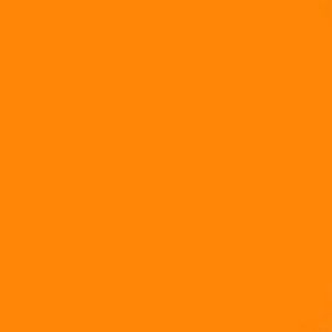 Meet your Posher, Tia